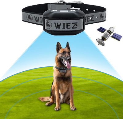 Valla inalámbrica GPS para perros exterior rango 65-3281 pies