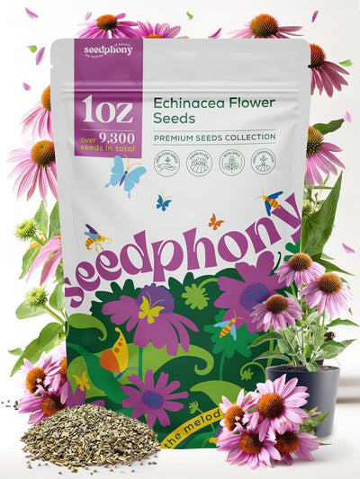 Paquete 1oz semillas equinácea sin OMG para jardín