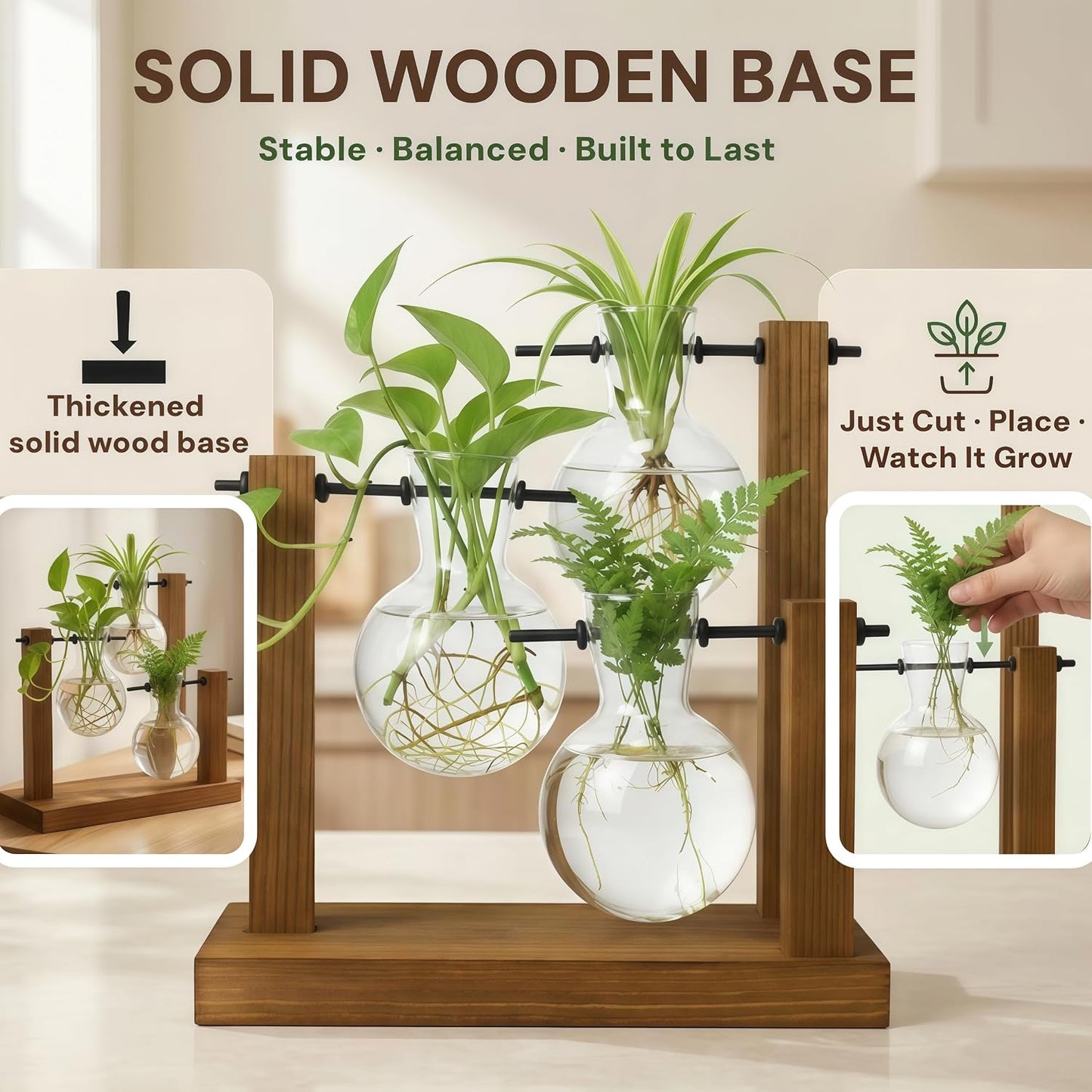 Soporte vidrio para plantas escritorio madera