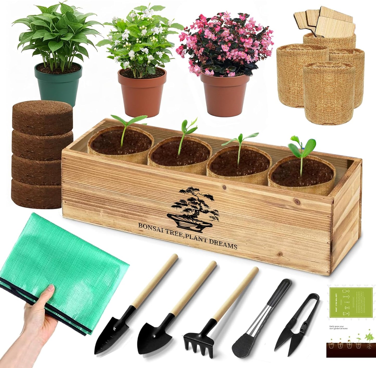 Kit Bonsái Caja Madera Tapete Maceta Arpillera