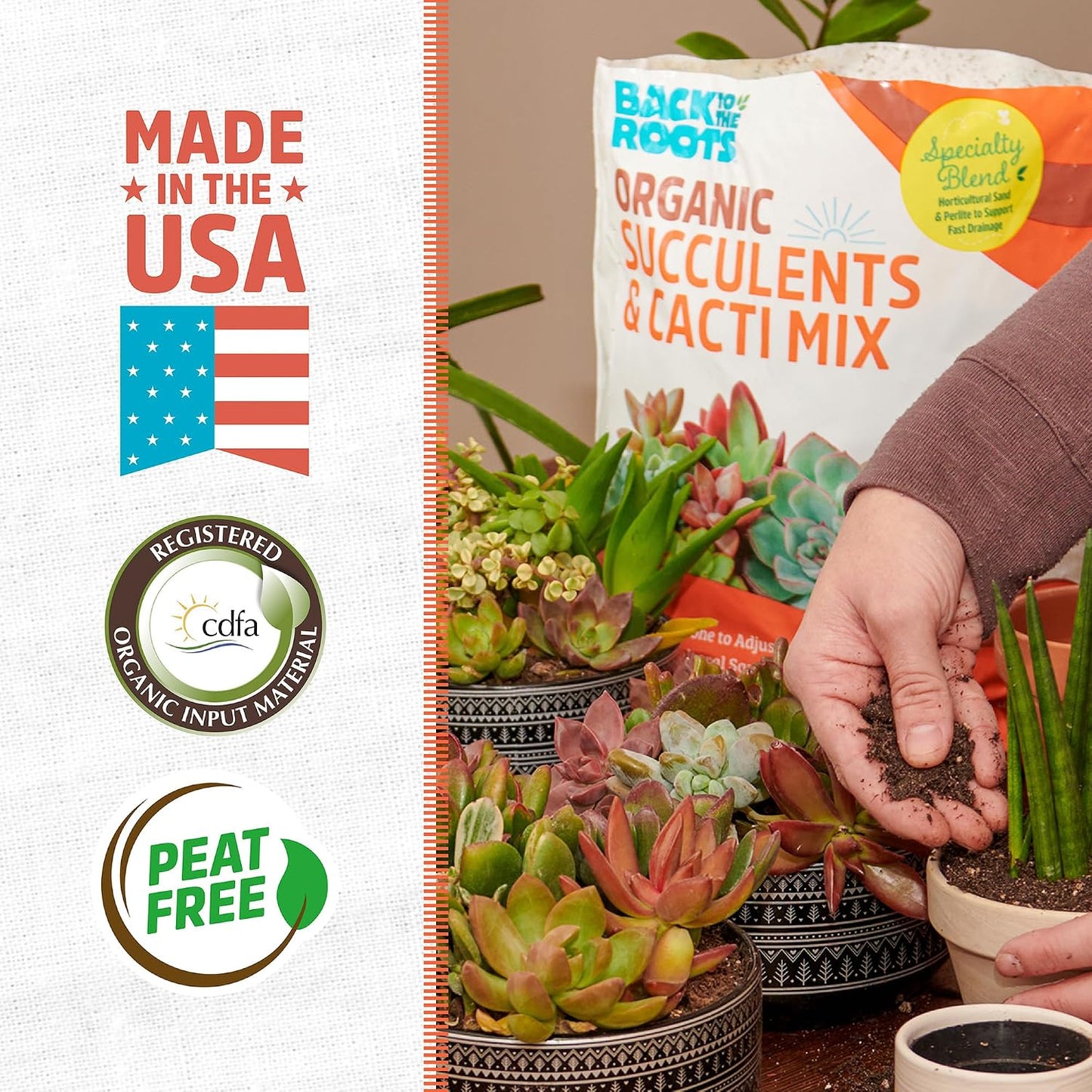 Mezcla orgánica para suculentas y cactus 6qt