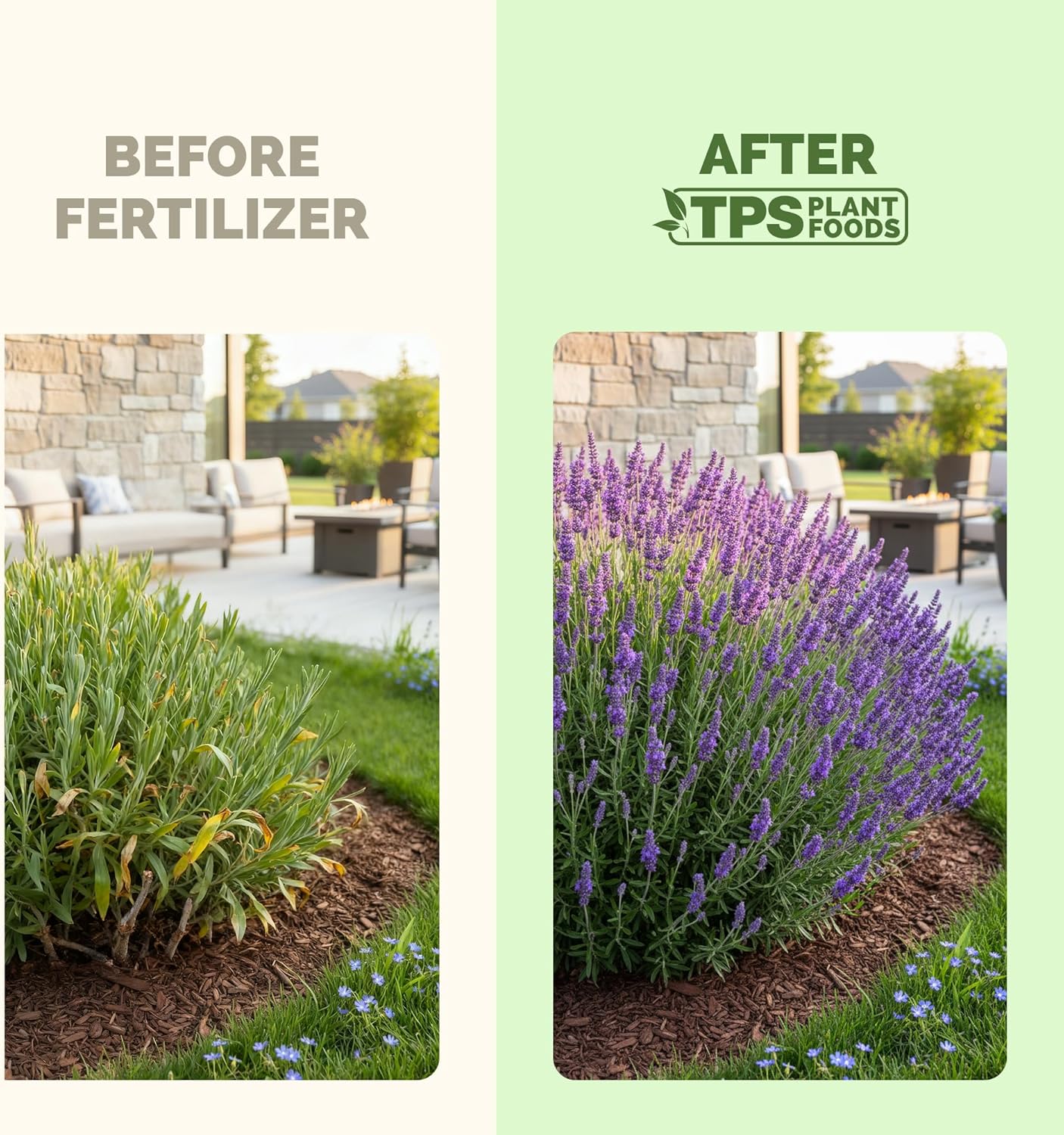 Fertilizante líquido lavanda TPS 8.5oz