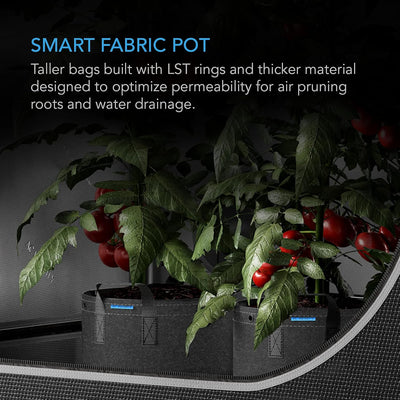 Macetas tela 1gal 5uds anillos cultivo frutas verduras