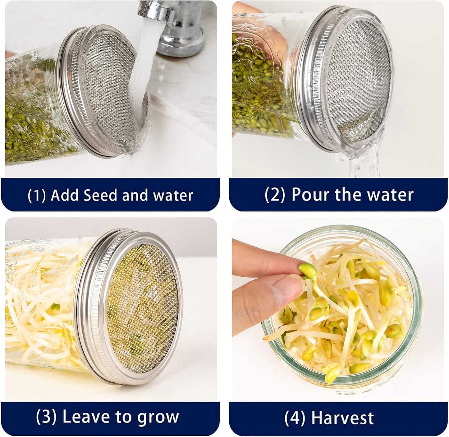 Kit 6 Pzas pantalla germinación acero inox brotes brócoli