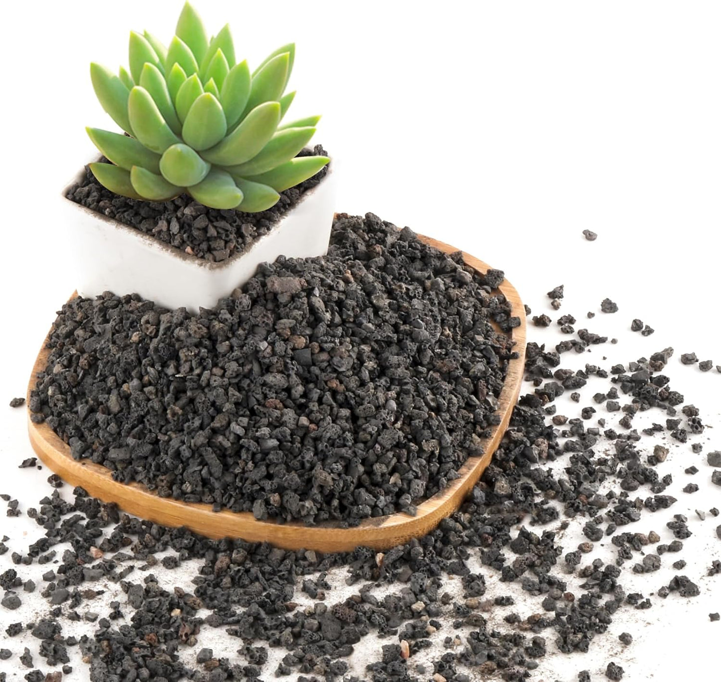Rocas lava negras 2.4lb para suculentas y bonsái drenaje