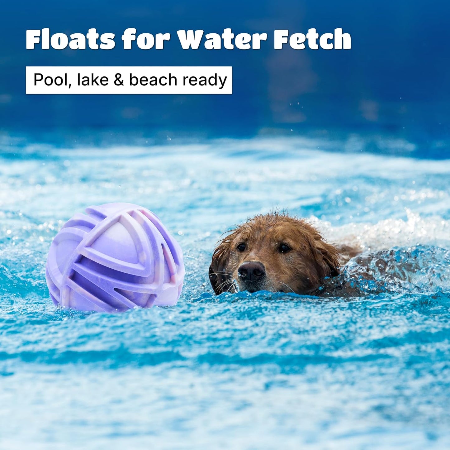 Pelotas flotantes para perros de 7 pulgadas TPR duradera