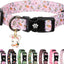 Collar Pascua perro patrón zanahoria rosa S M L