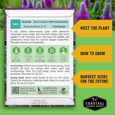 Semillas trébol pradera púrpura flor silvestre nativa