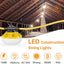 Cadena luces LED 100ft 100W 10 bombillas IP65 para ático