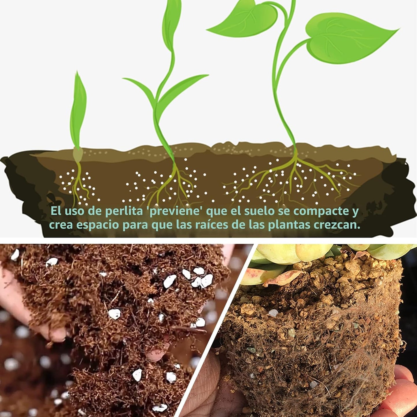 3qt Perlita para suelo de plantas mejora drenaje