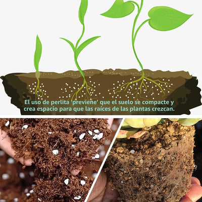 3qt Perlita para suelo de plantas mejora drenaje