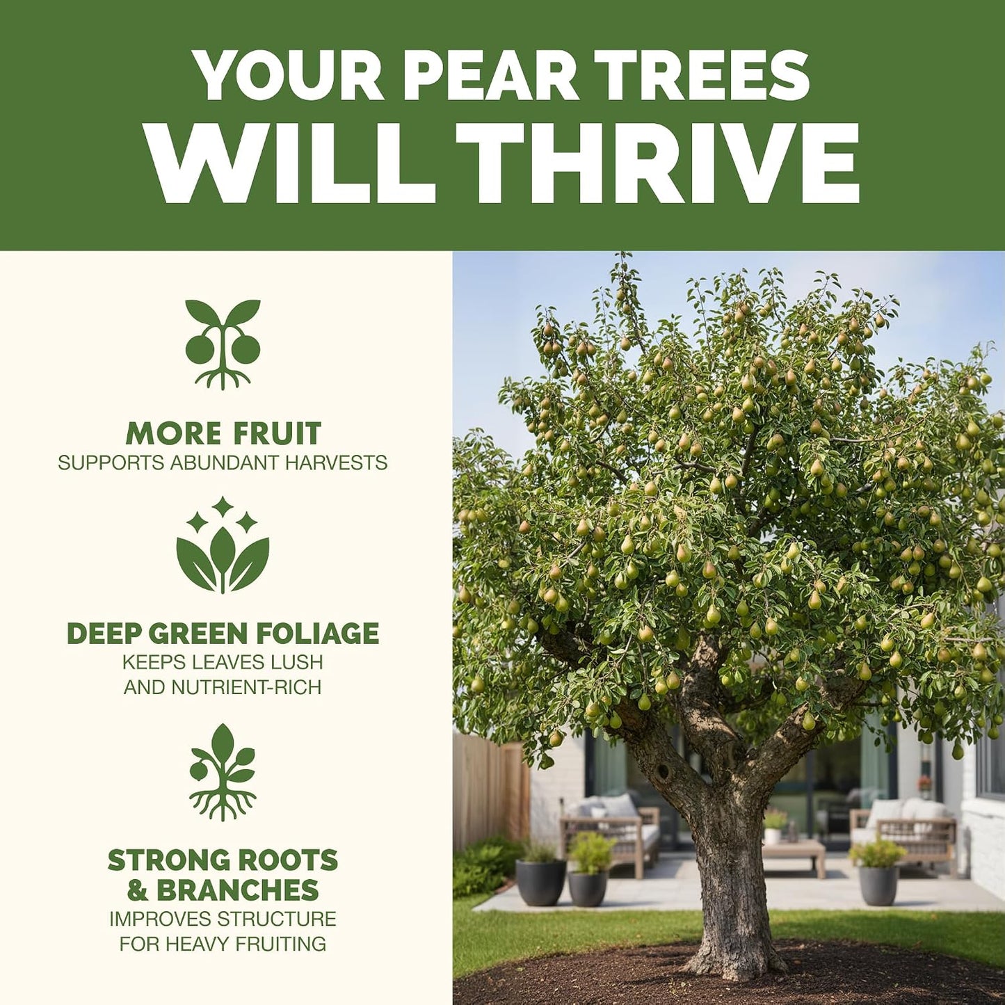 Fertilizante líquido para árbol de pera 8oz