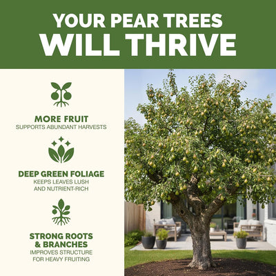 Fertilizante líquido para árbol de pera 8oz