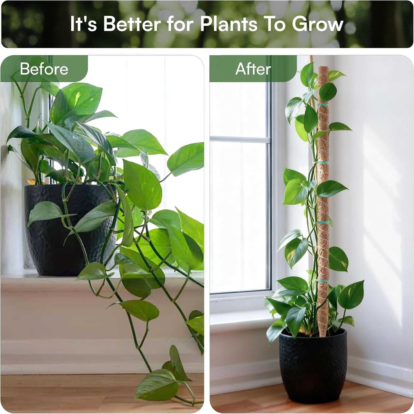2 Postes musgo flexibles 28pulg para plantas trepadoras