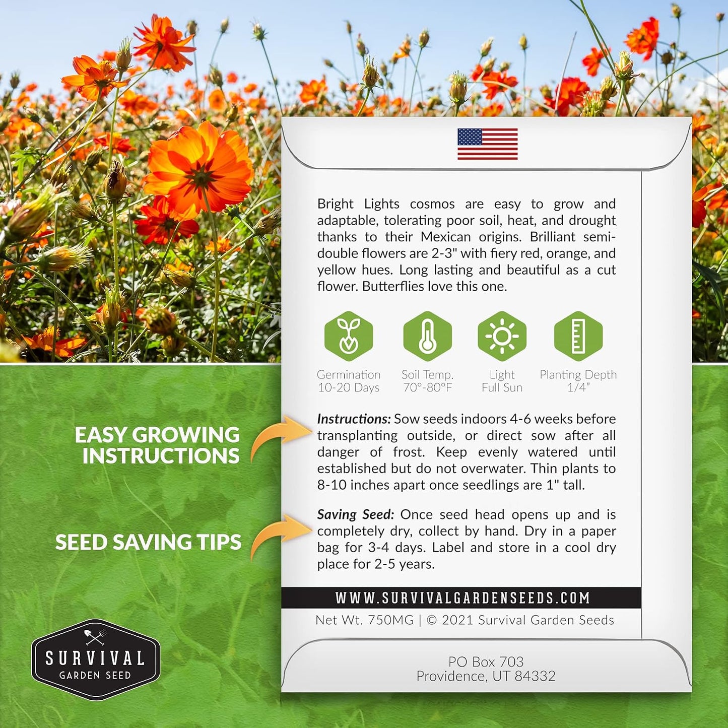 Semilla Cosmos Bright Lights con instrucciones para cultivar