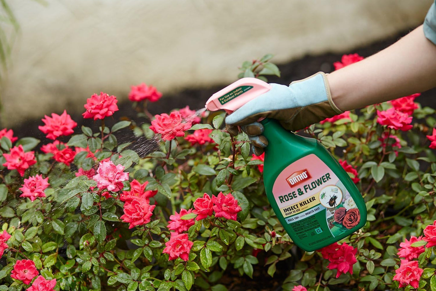 Asesino de insectos para rosas y flores 24oz