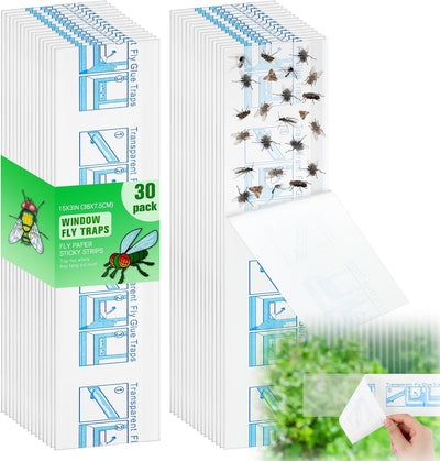 30 Trampas Moscas Ventana XL Adhesivas Transparentes