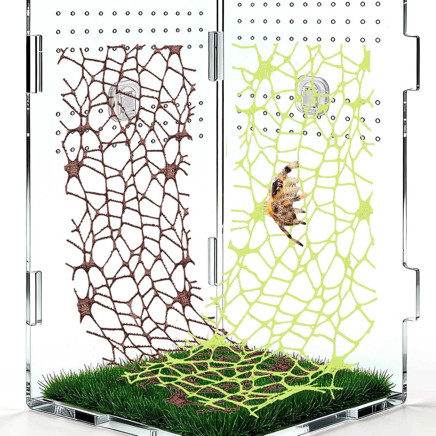 6 Pzas Accesorios Habitat Saltarín con Telaraña 9 Ganchos