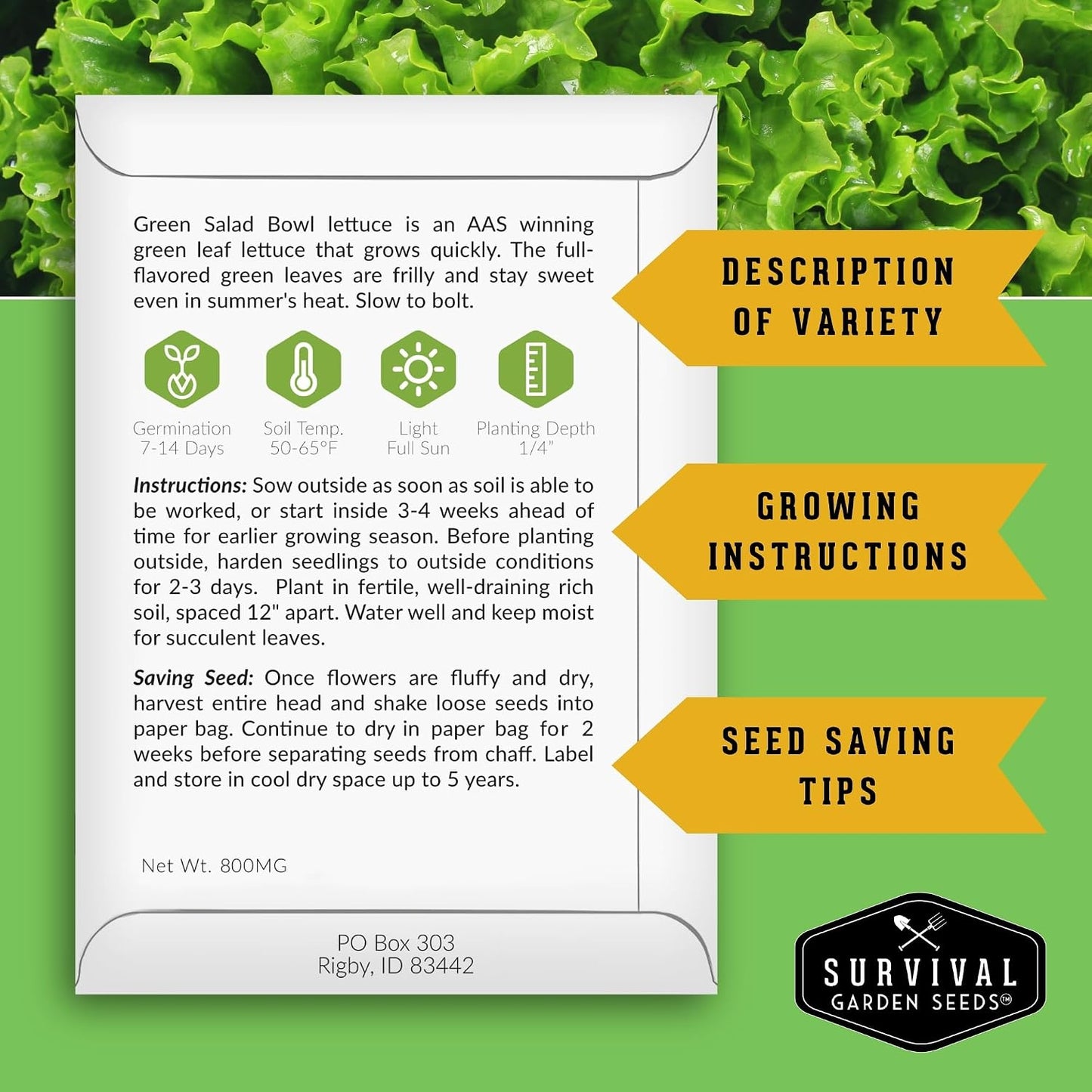 Boveda semillas 5 verduras hoja verde sin OGM