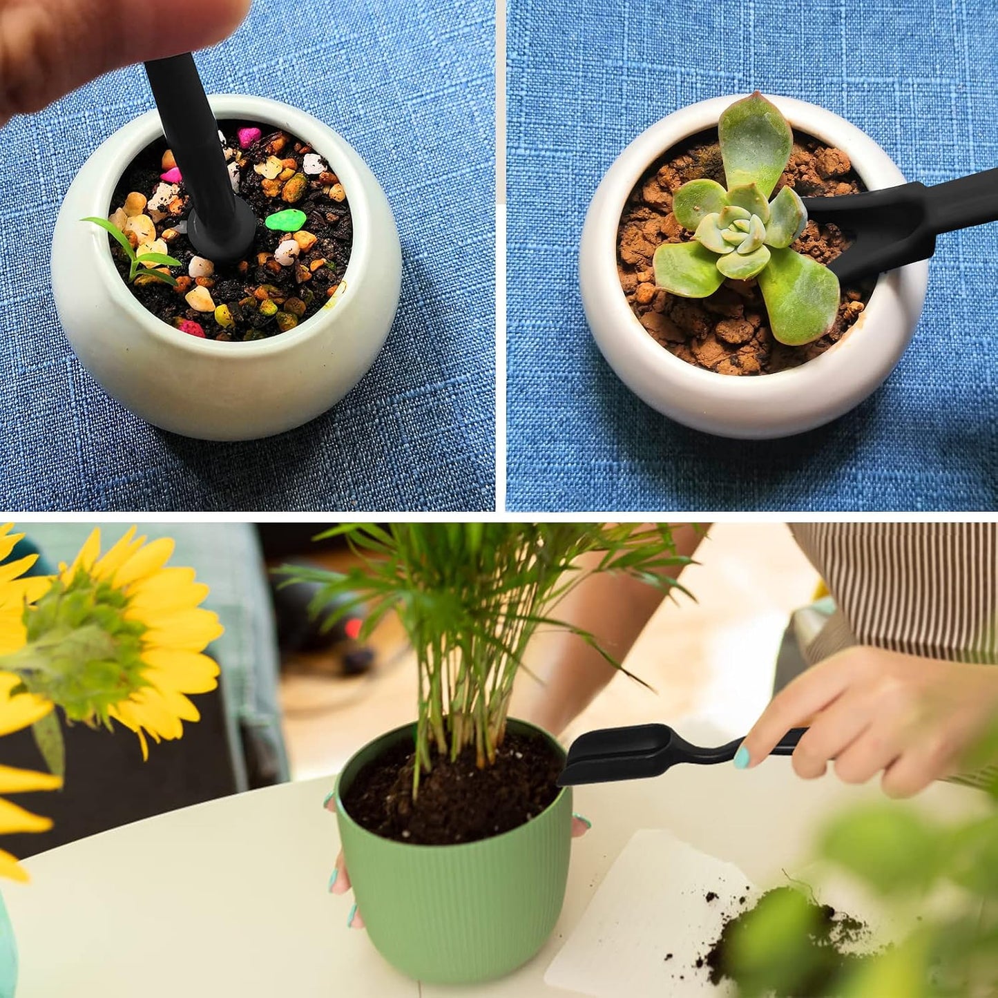 Set 12 herramientas para suculentas y cactus jardinería