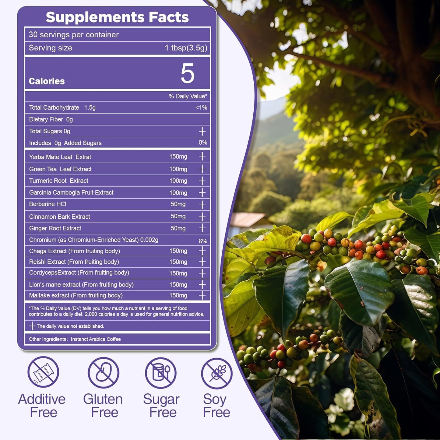 Café de hongos SUNDAFONE Slim Essence mezcla de 5 hongos 22500 mg botánicos