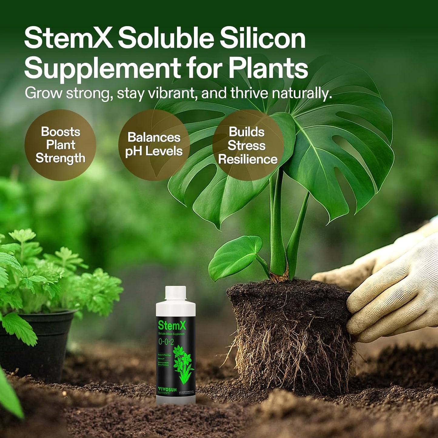 Fertilizante vegetal silicio líquido 8oz para tallos y hojas