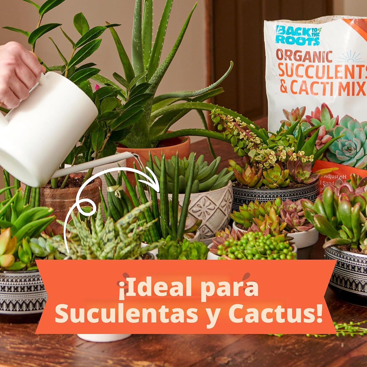 Mezcla orgánica para suculentas y cactus 6qt