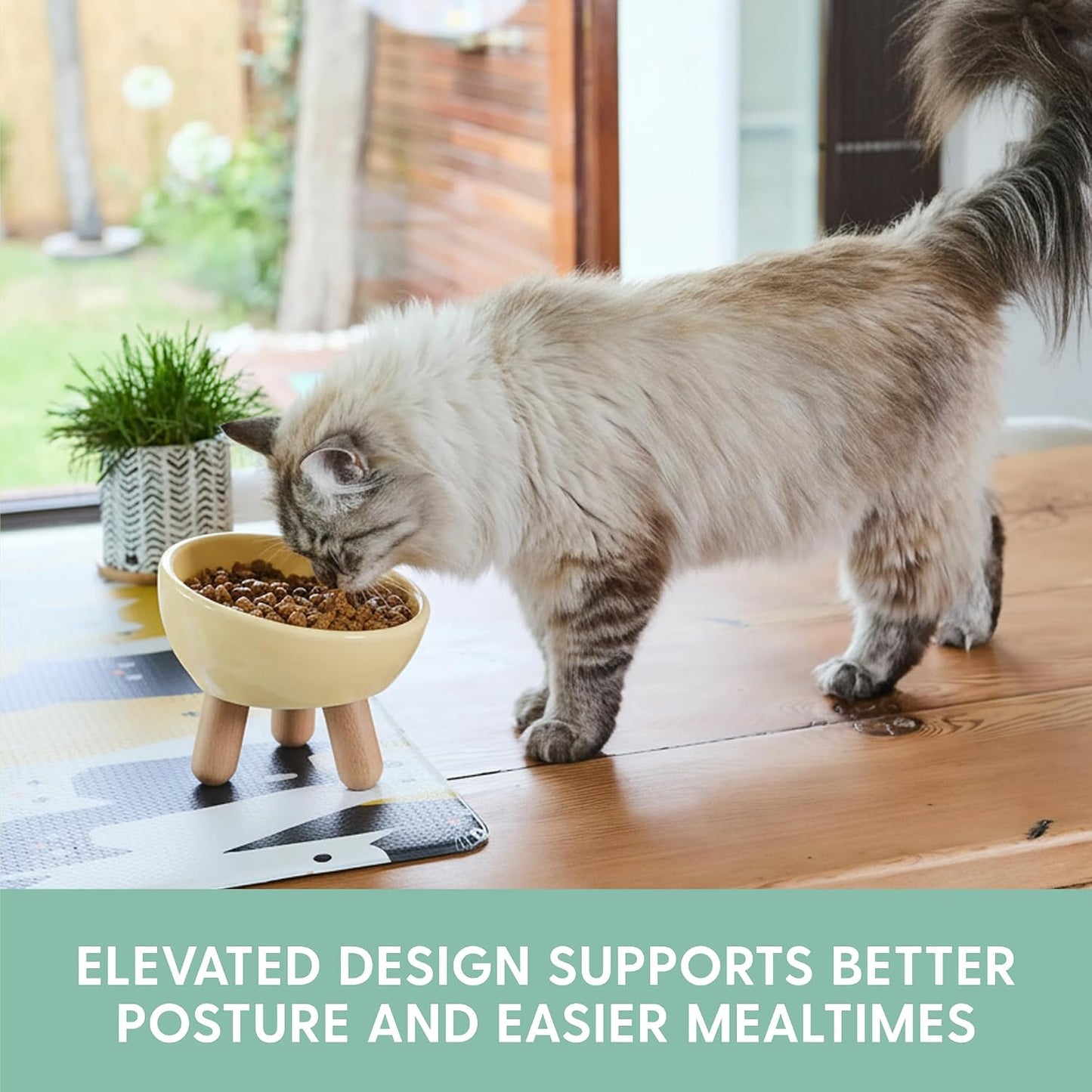 Cuenco cerámica inclinado para gatos elevado comoda alimentacion
