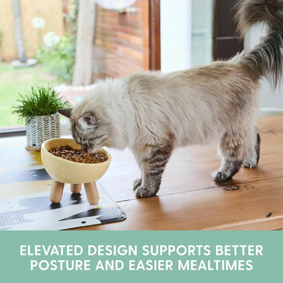 Cuenco cerámica inclinado para gatos elevado comoda alimentacion