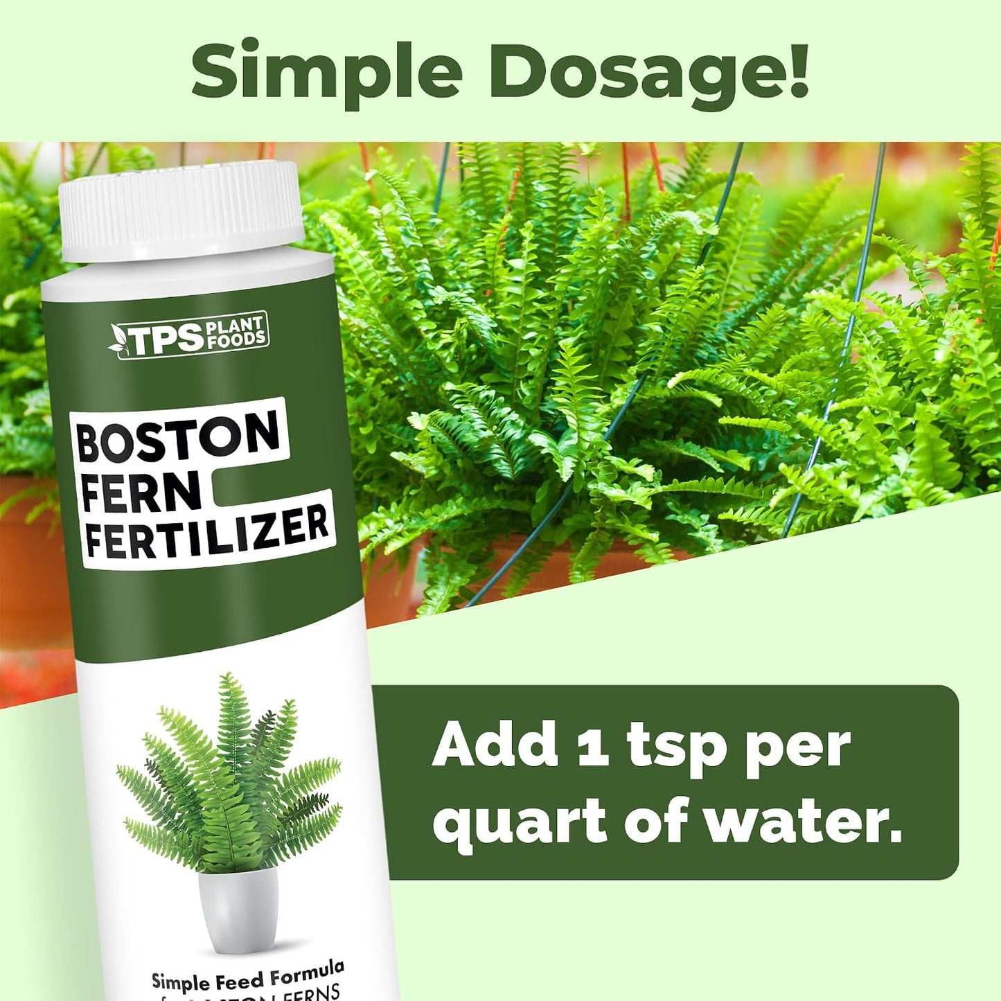 Fertilizante liquido helecho Boston Dallas Compacta 8oz