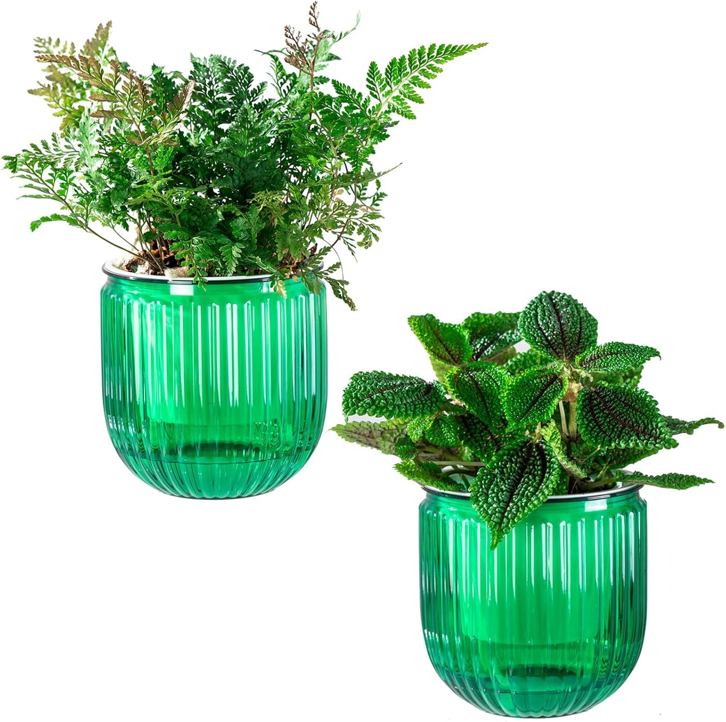 Macetas riego automático interior set 2 4.3pulg flores cactus