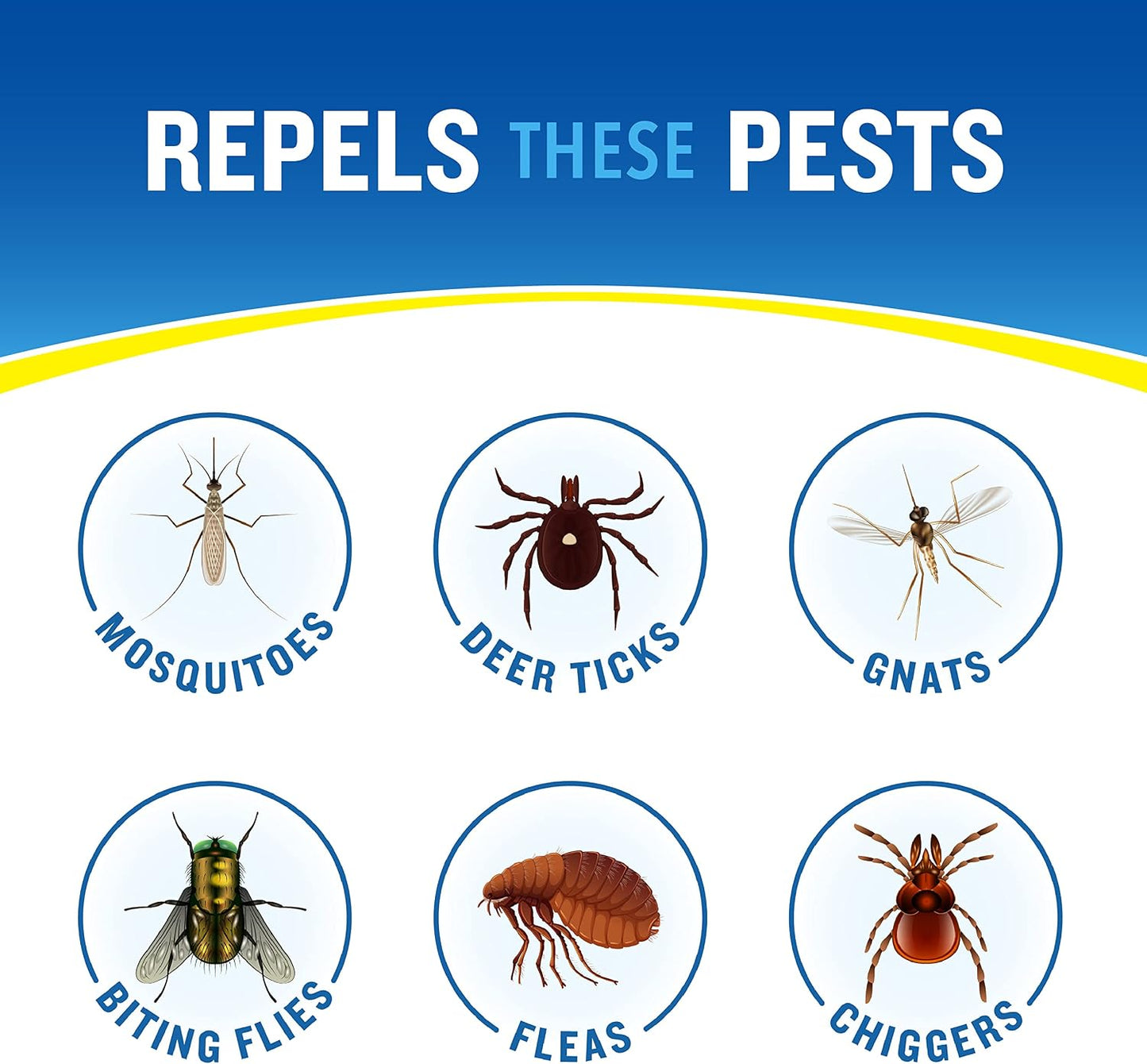 Repelente insectos 10% DEET 6oz aerosol transparente