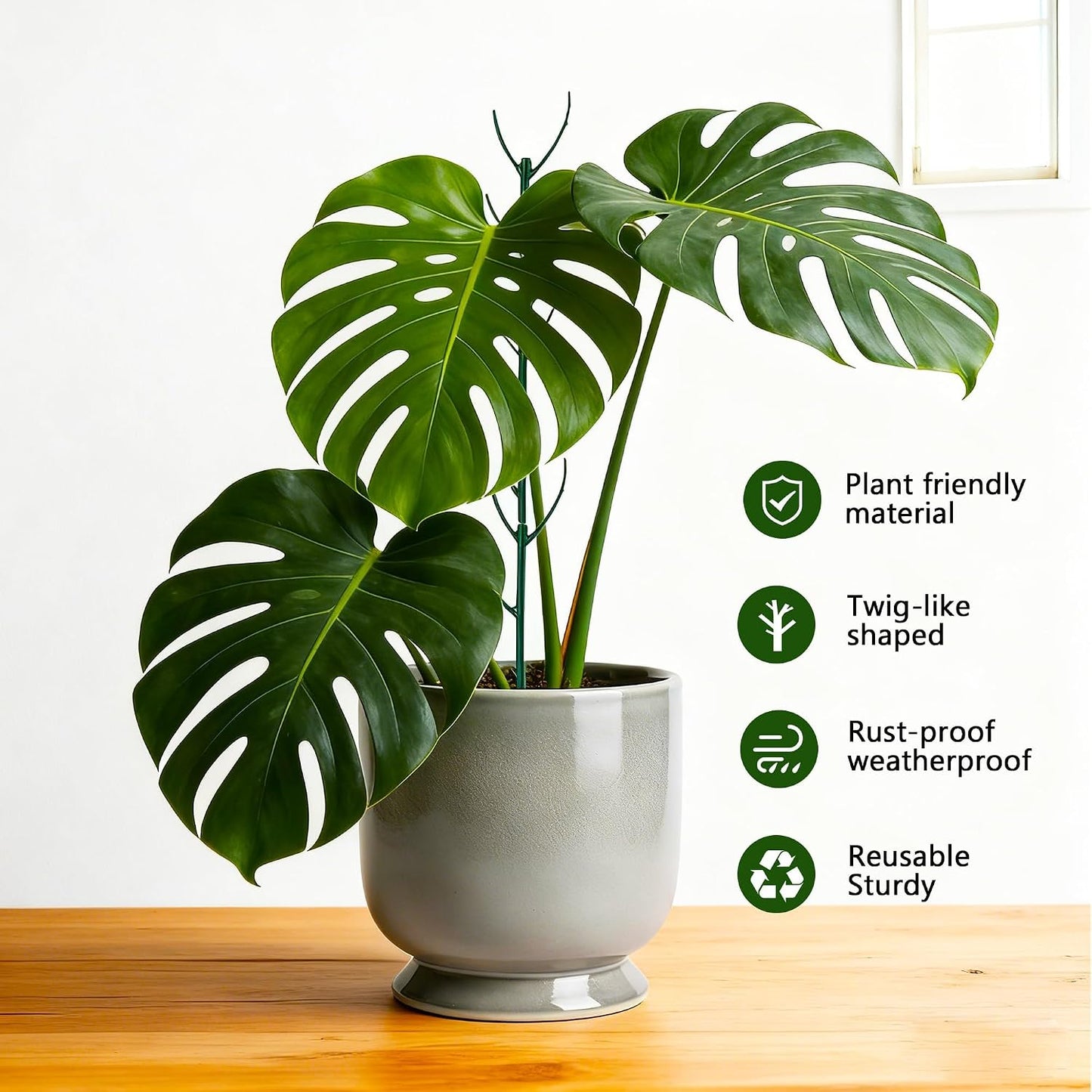 15 Postes Soporte Ajustables para Plantas Trepadoras