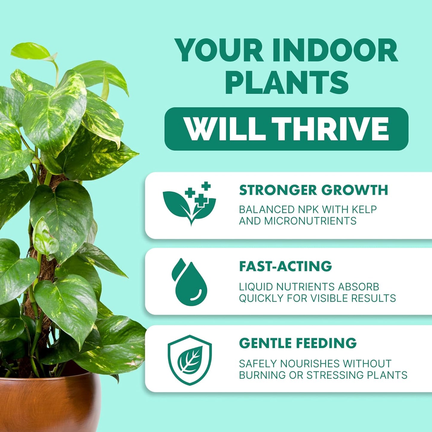 Fertilizante líquido para plantas de interior 8oz