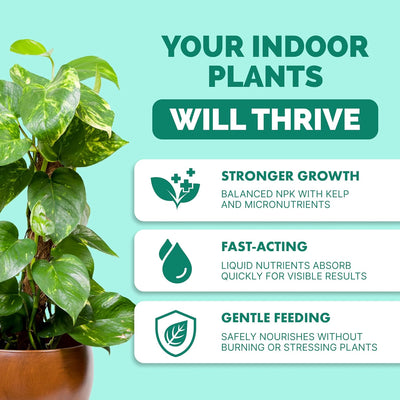 Fertilizante líquido para plantas de interior 8oz