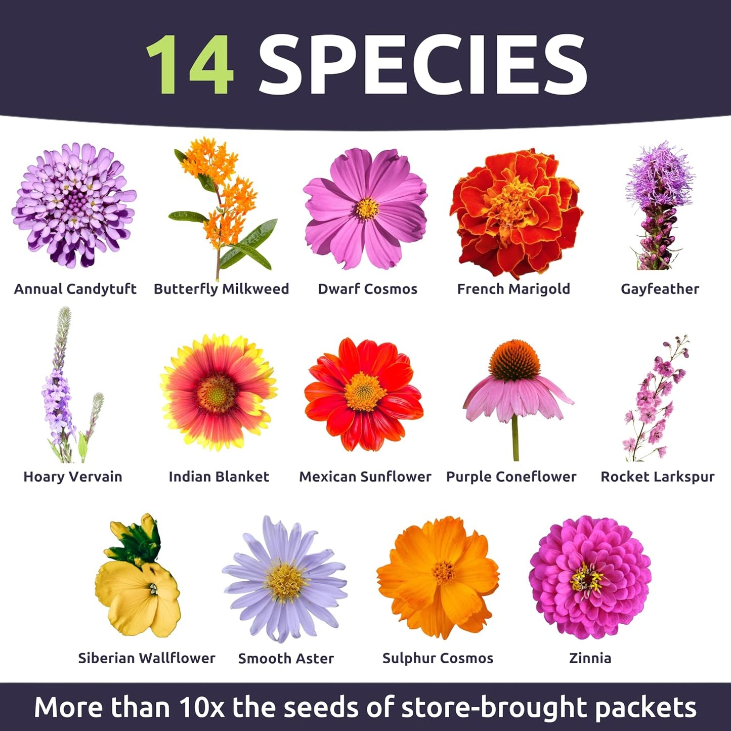 Mezcla flores silvestres 1oz 11000 semillas