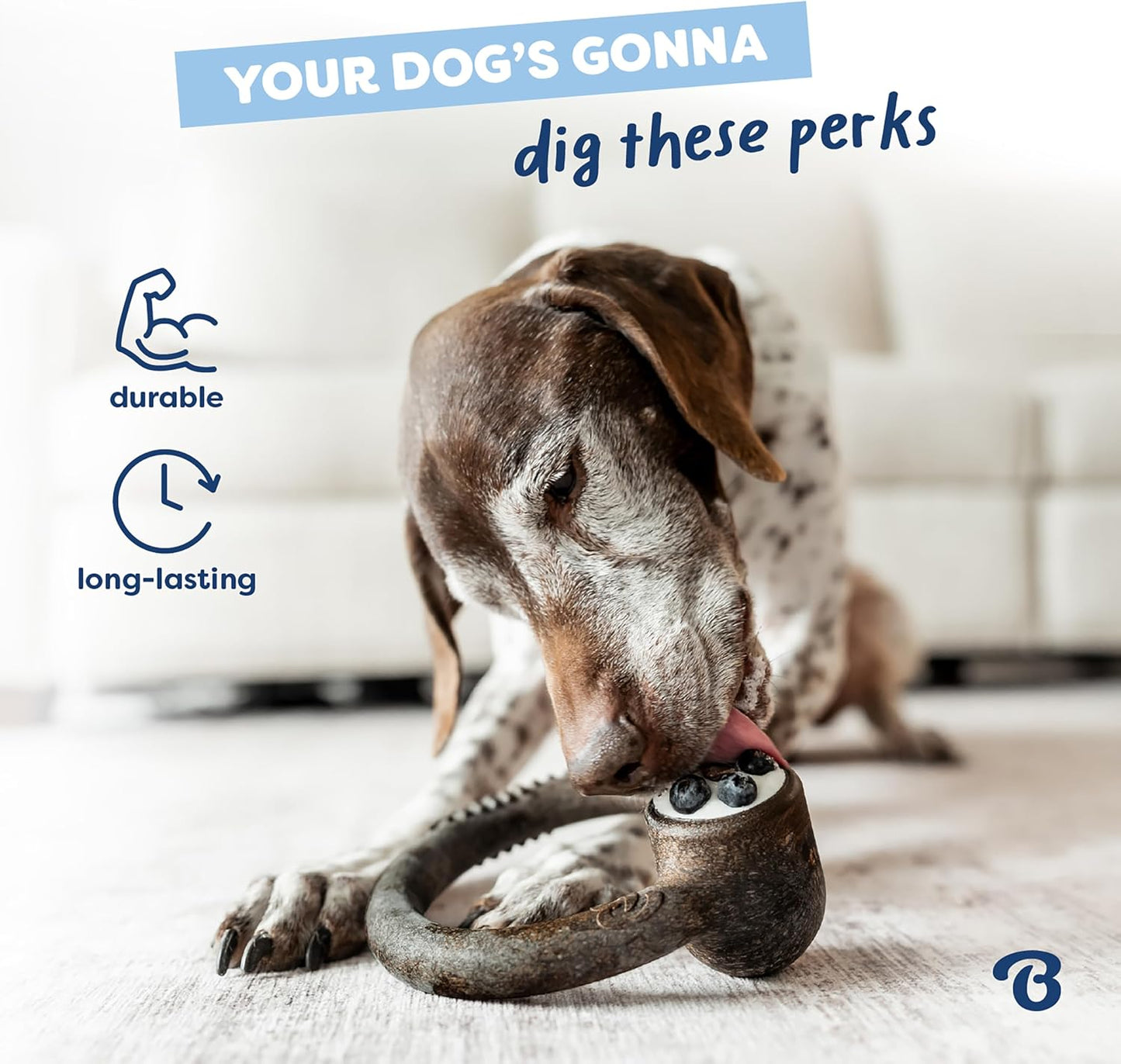 Juguete masticable perros agresivos sabor arándano mediano