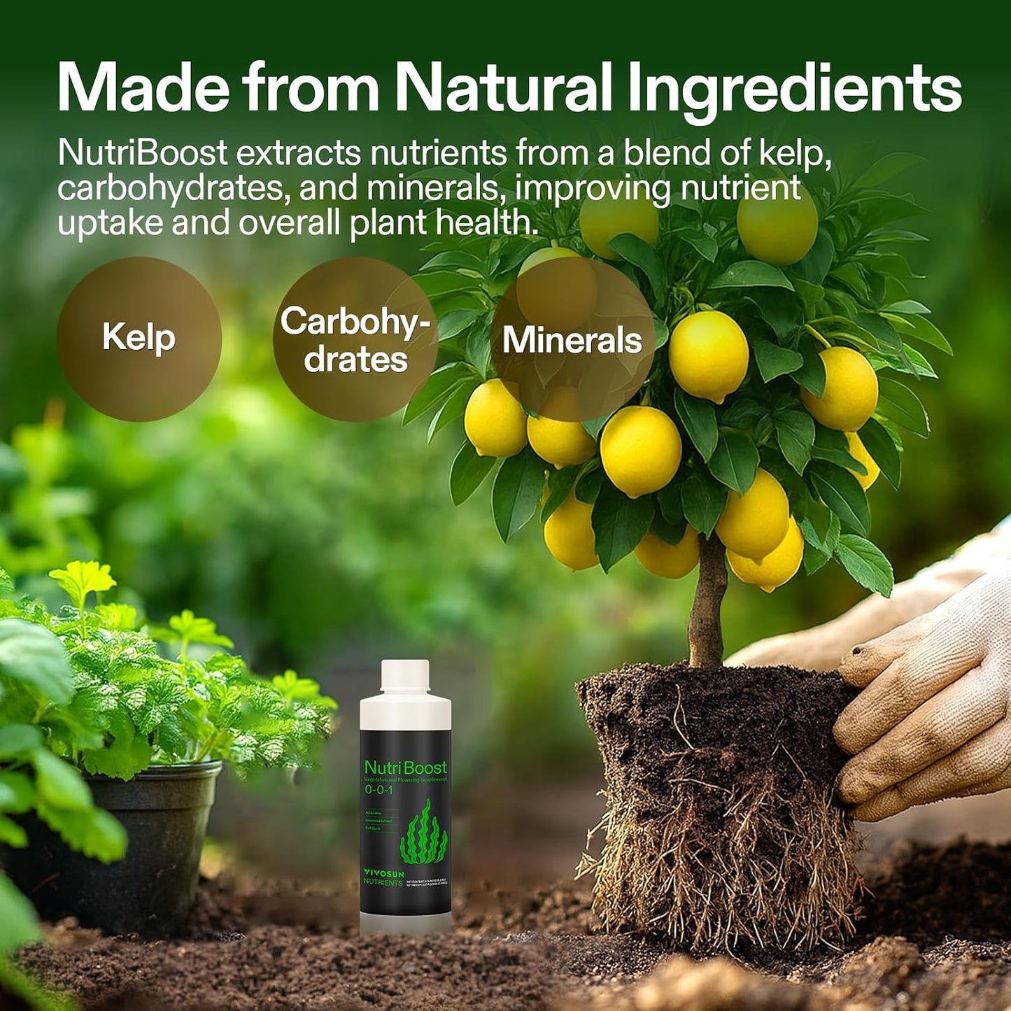 Fertilizante algas marinas NutriBoost 0-0-1 para plantas