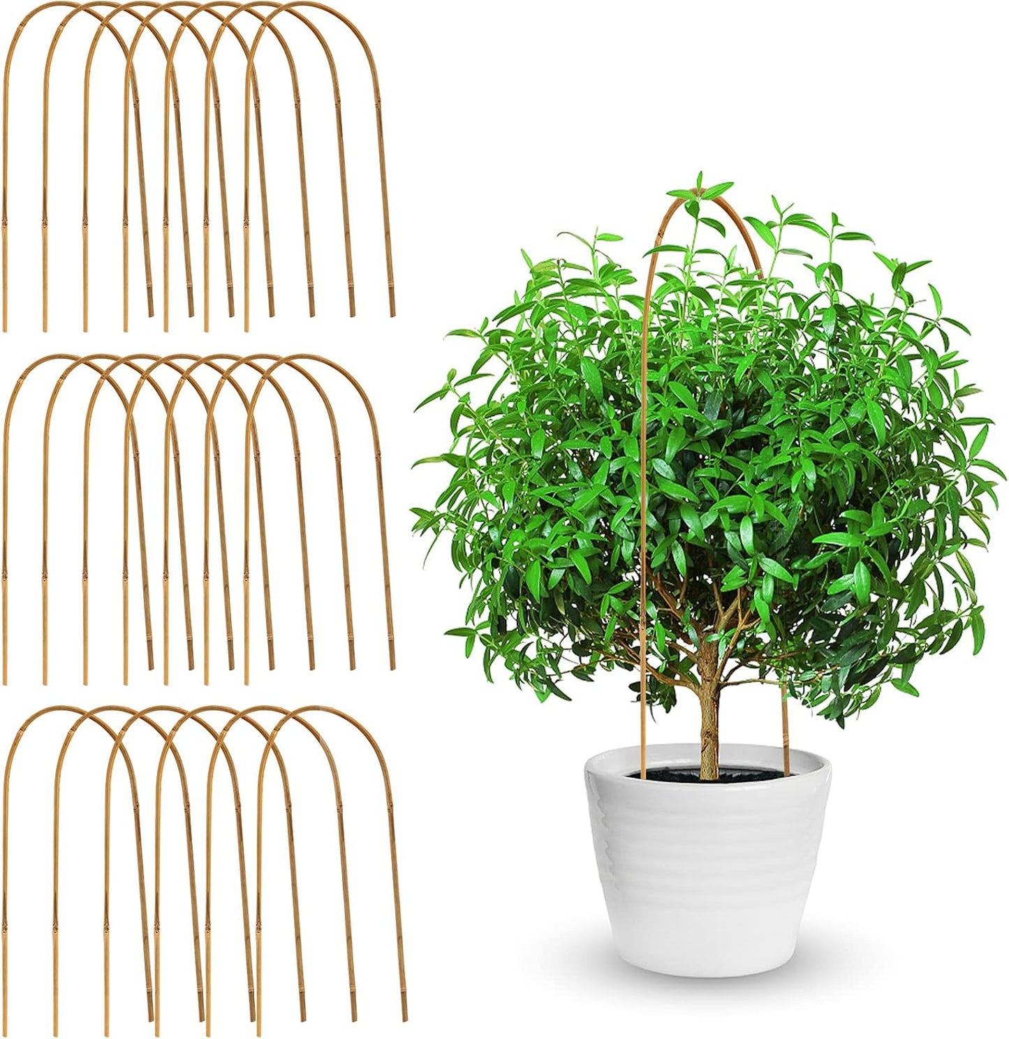 20 Soportes en U Bambú 16pulg para Plantas Jardín
