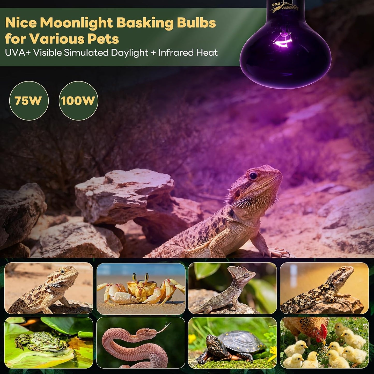 Lámpara calor reptiles 100W UVA dragón barbudo