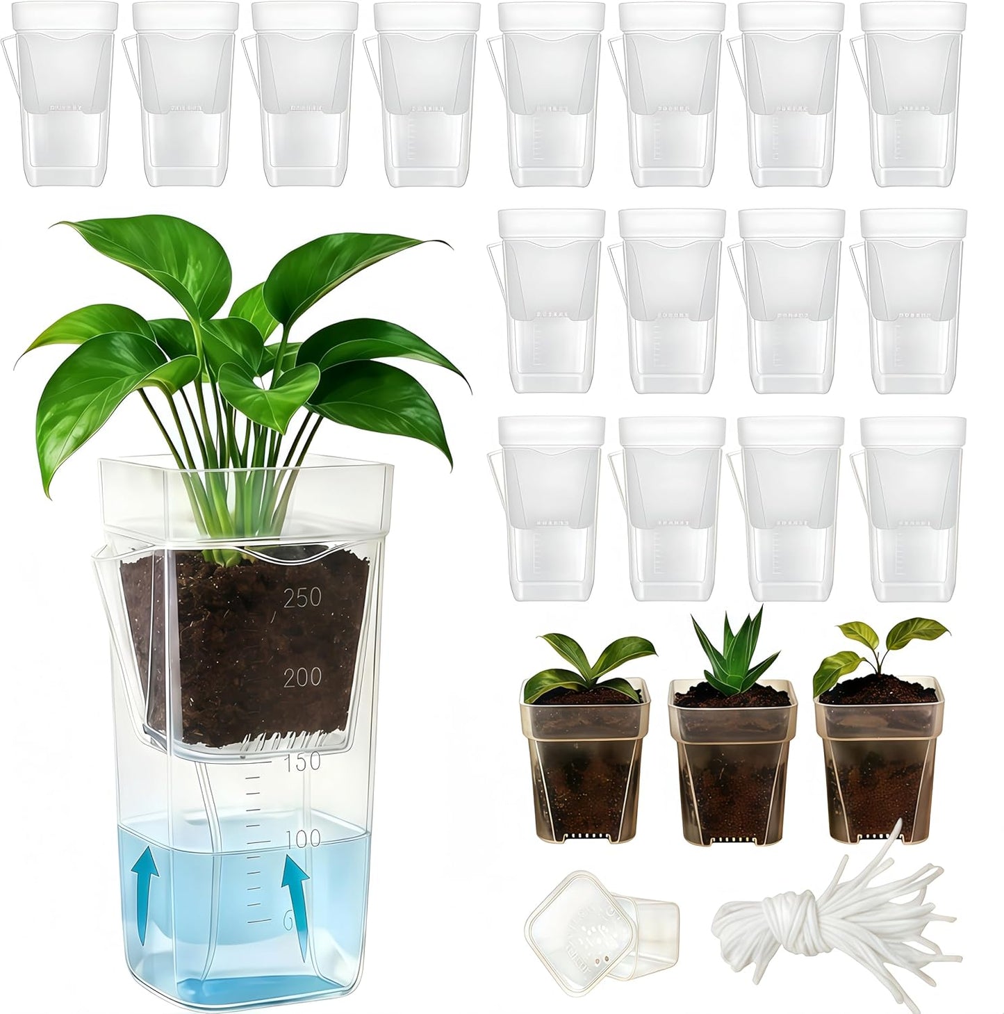 16 Macetas Plástico Transparente Riego Automático 2.5pulg
