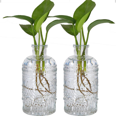 2 Jarrones Vidrio Decoración Hogar Mesa Escritorio