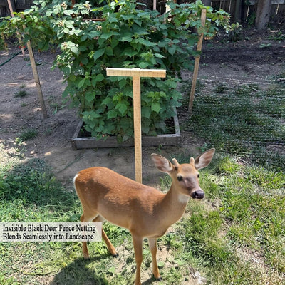Red valla ciervo 13x33pies para jardín contra pájaros y animales