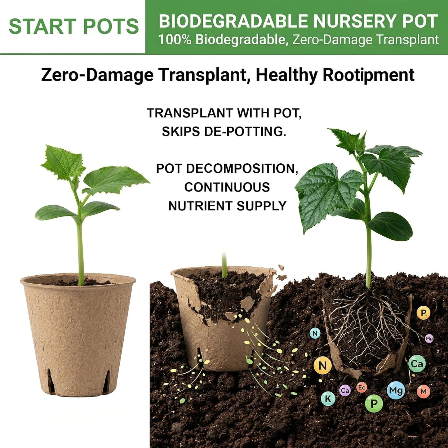 Macetas Turba 3.15pulg Biodegradables con Drenaje