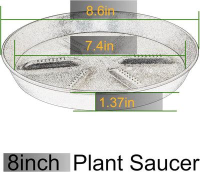 Platillo plantas 8pulg set 4 plástico resistente