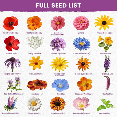 Semillas flores silvestres para colibríes y mariposas