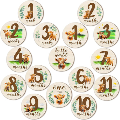 16 Tarjetas Madera Meses Bebé Doble Cara Baby Shower