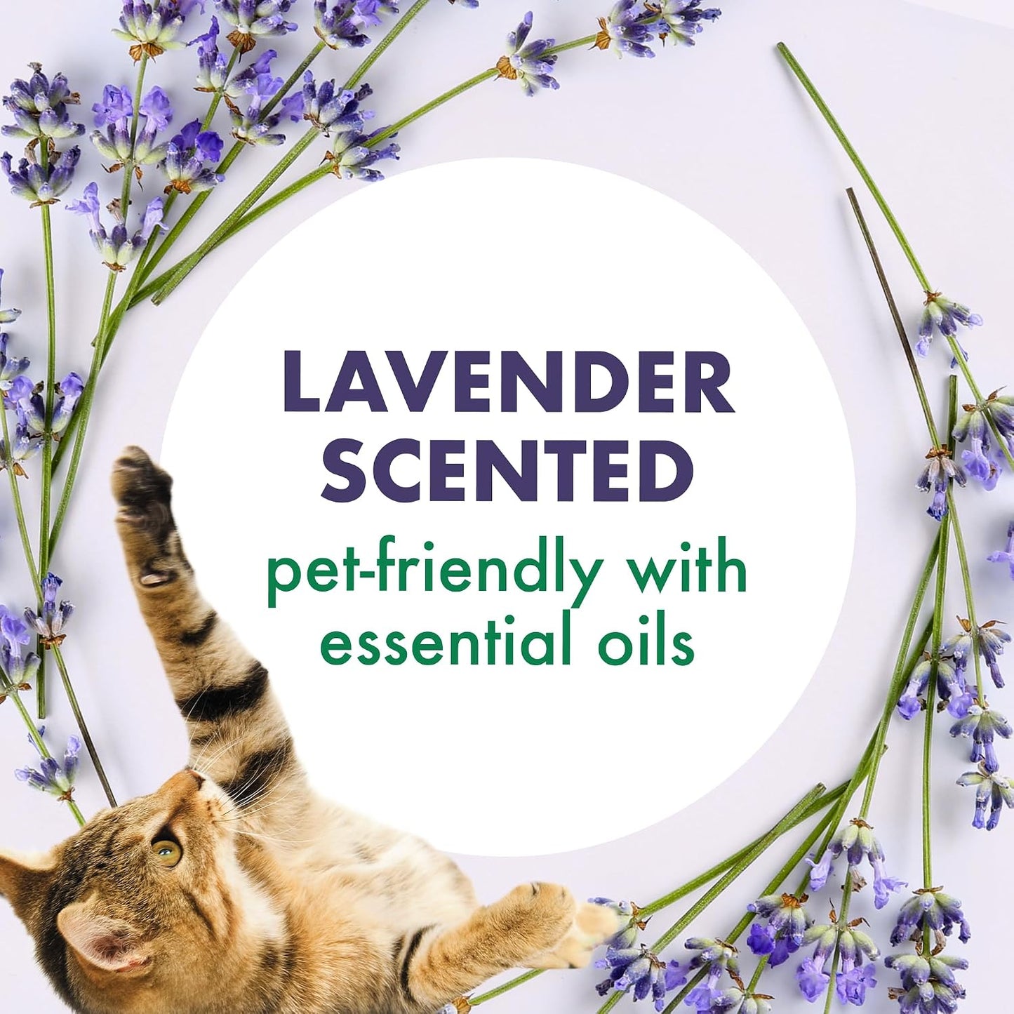 Desodorizador arena gatos lavanda bicarbonato 30oz set 6