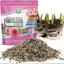Fertilizante bulbos flores 2% hierro alimento plantas jardín