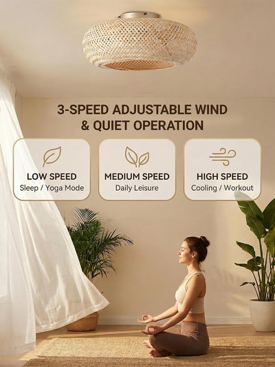 Ventilador techo boho 20pulg ratán luz 6 velocidades motor CC